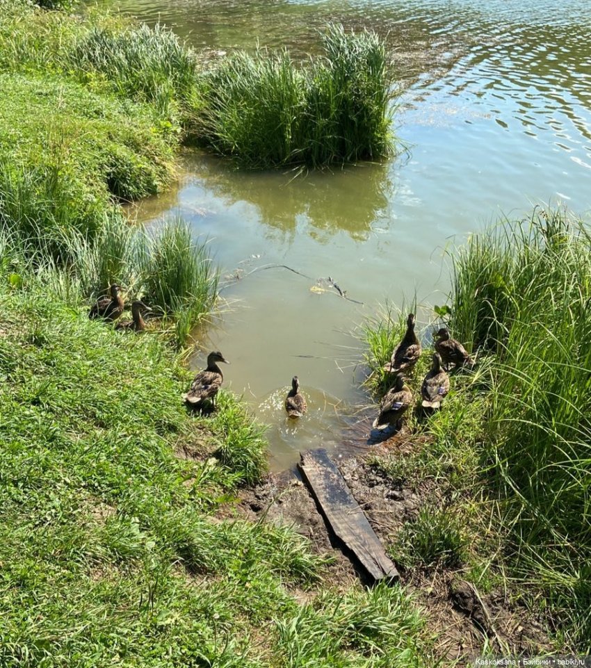 Варвара - краса. Коллективное закулисье: как оживают сказки