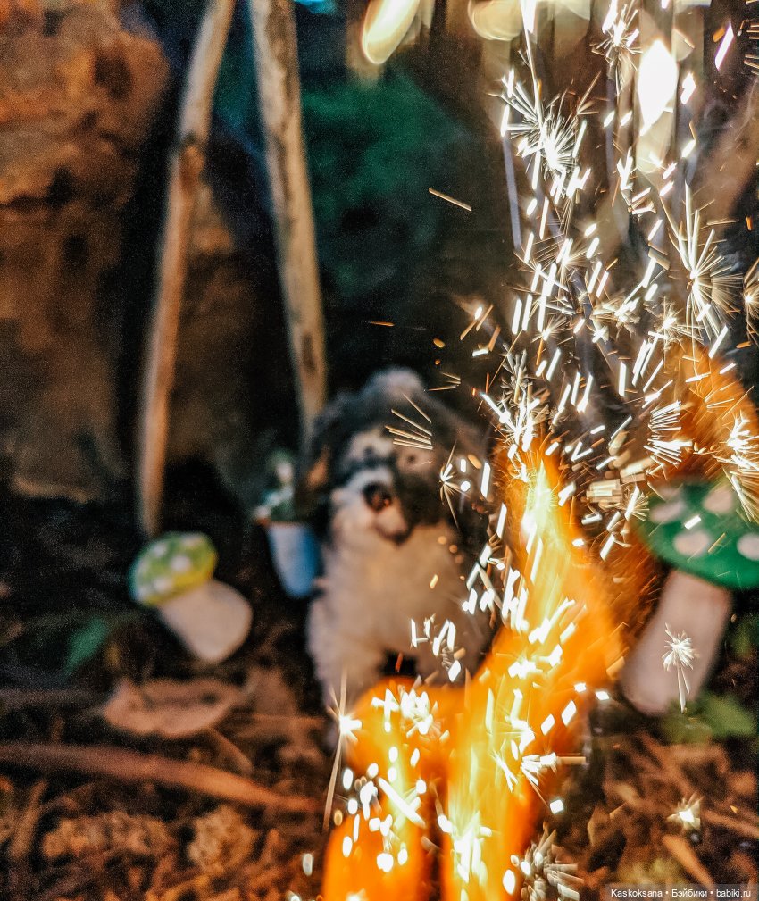 Варвара - краса. Коллективное закулисье: как оживают сказки