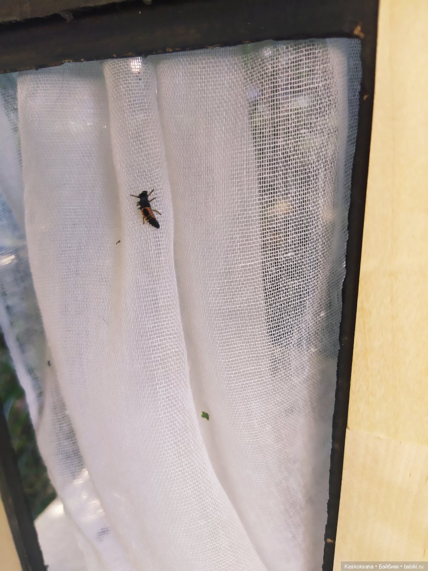 Август, который приносит счастье. Мика и Артур. Часть 1 (фото 5)