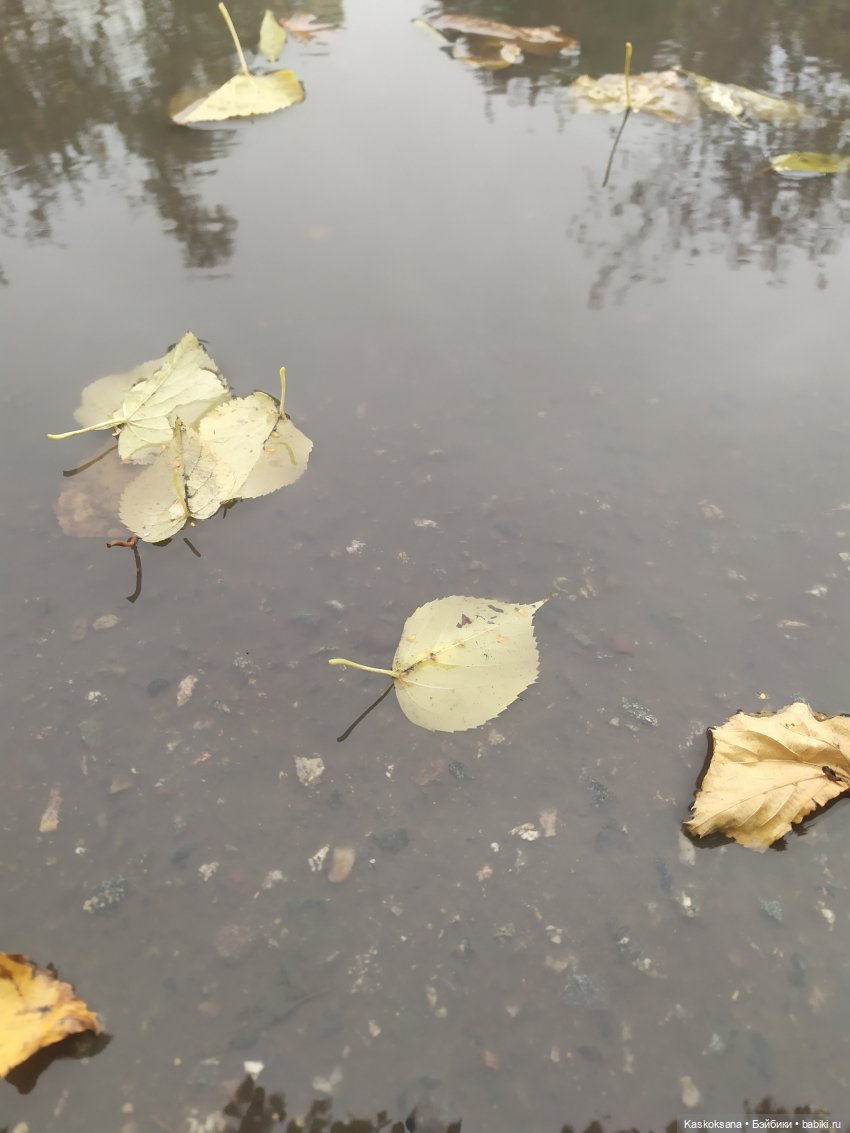 Осенняя мелодия — Куклы Barbie (Барби): Looks