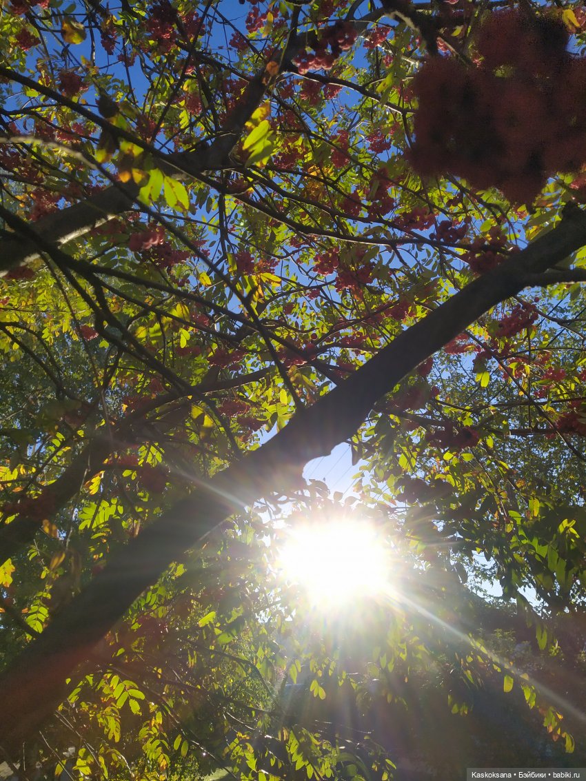 Осенняя мелодия — Куклы Barbie (Барби): Looks