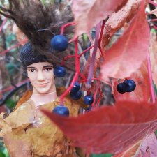 Сказки осеннего леса