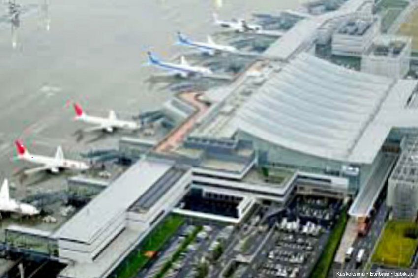 "Средиземье" и "Сумерки" на Красной дорожке DollCi