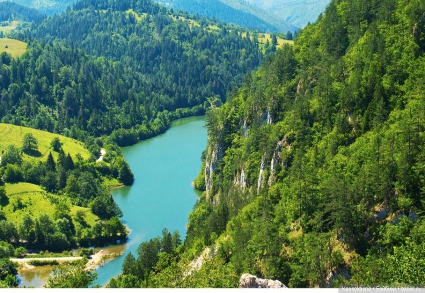 Случайные неслучайности. Эпизод 27 Ссылка | Бэйбики Случайные неслучайности. Эпизод 27 Ссылка (фото 3)