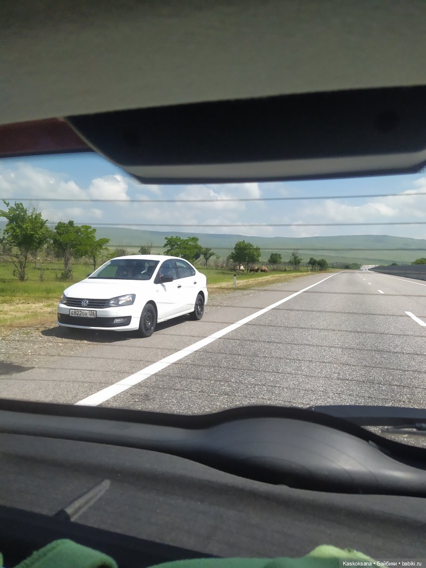 Дорога к Орлиным Скалам. Бештау (фото 8)