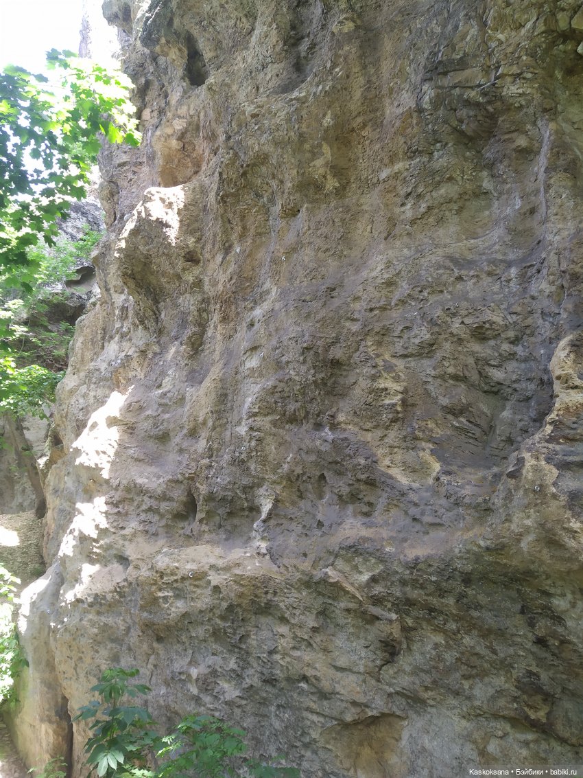 Дорога к Орлиным Скалам. Бештау