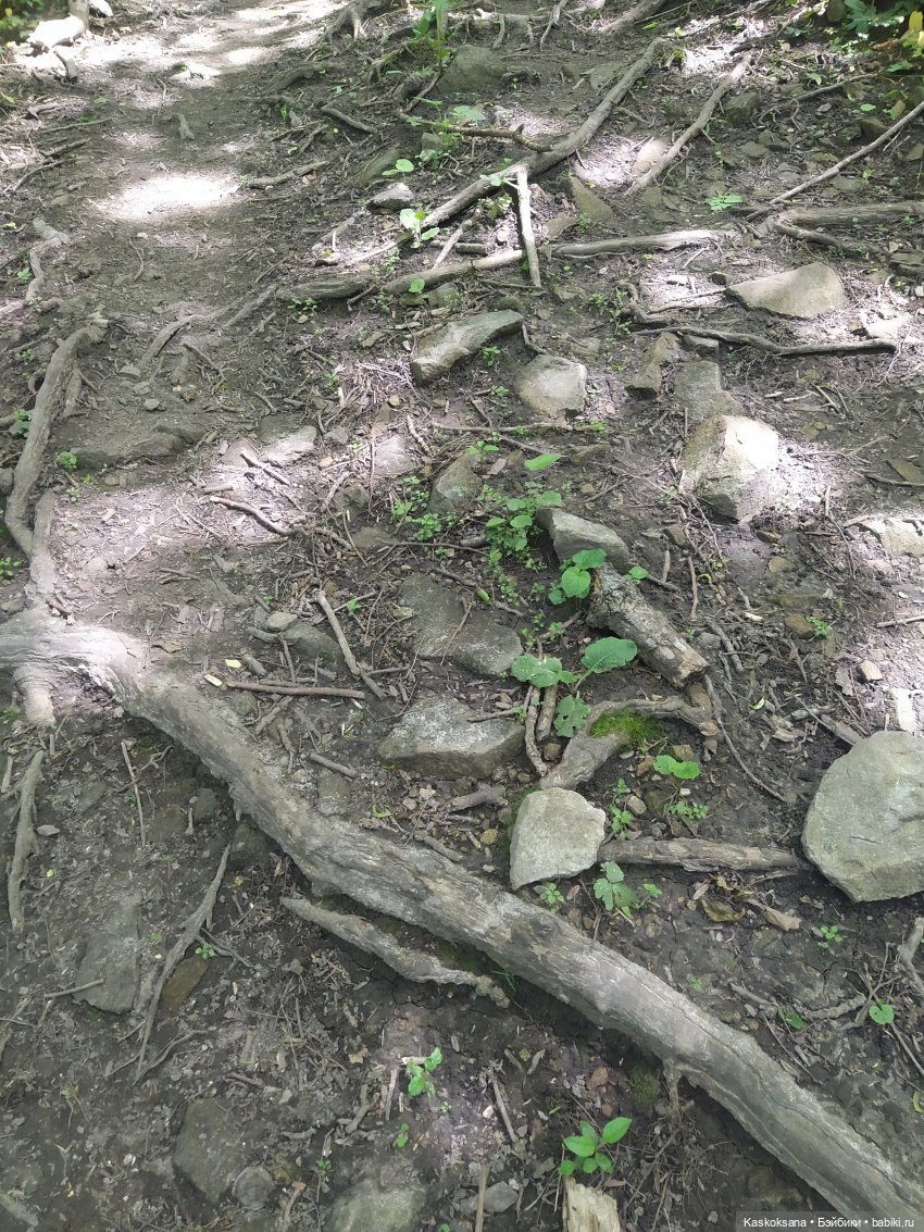 Дорога к Орлиным Скалам. Бештау