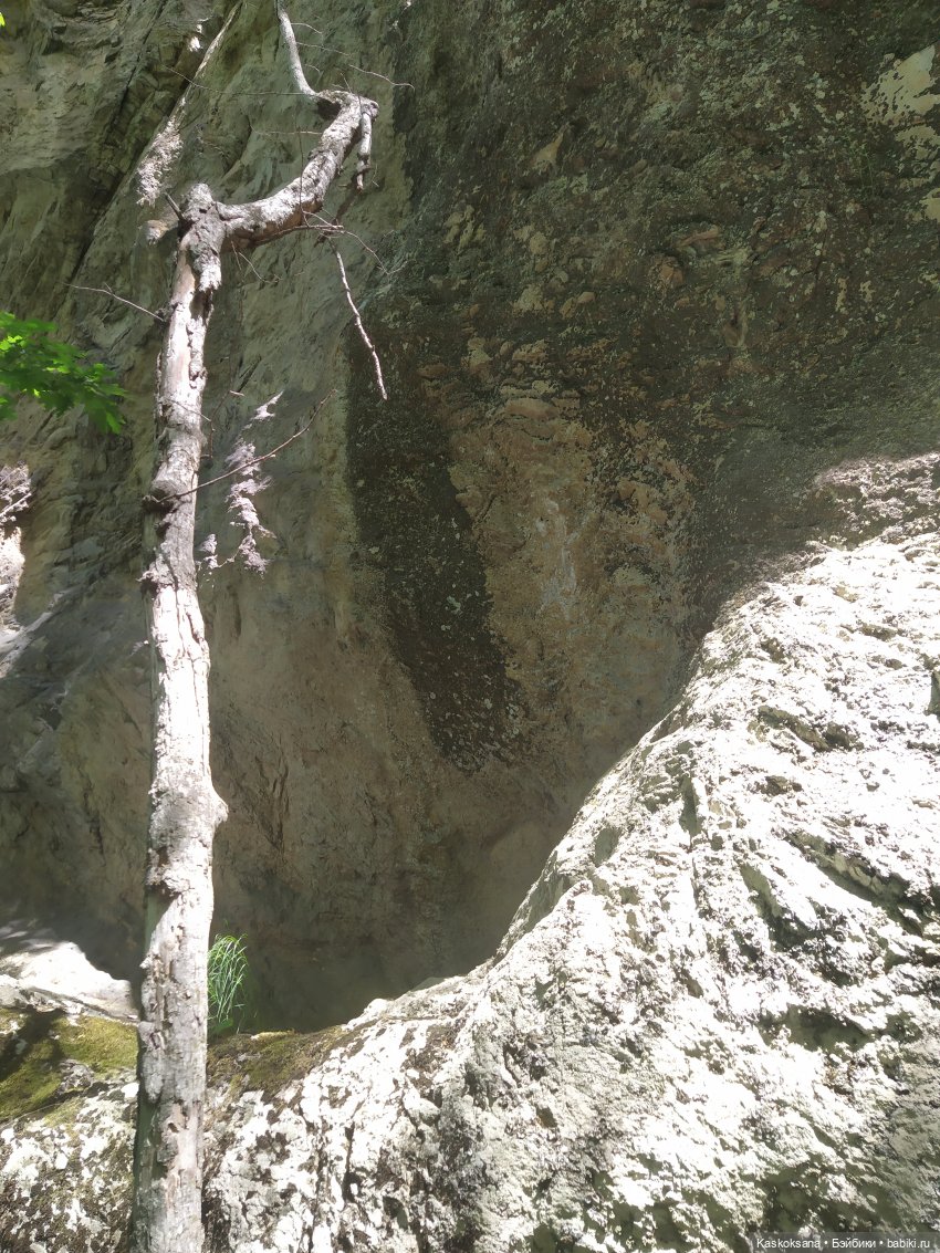 Дорога к Орлиным Скалам. Бештау