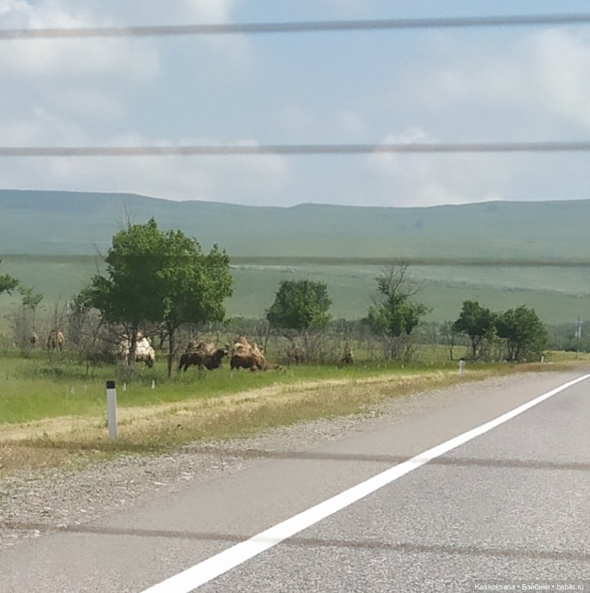 Дорога к Орлиным Скалам. Бештау (фото 9)