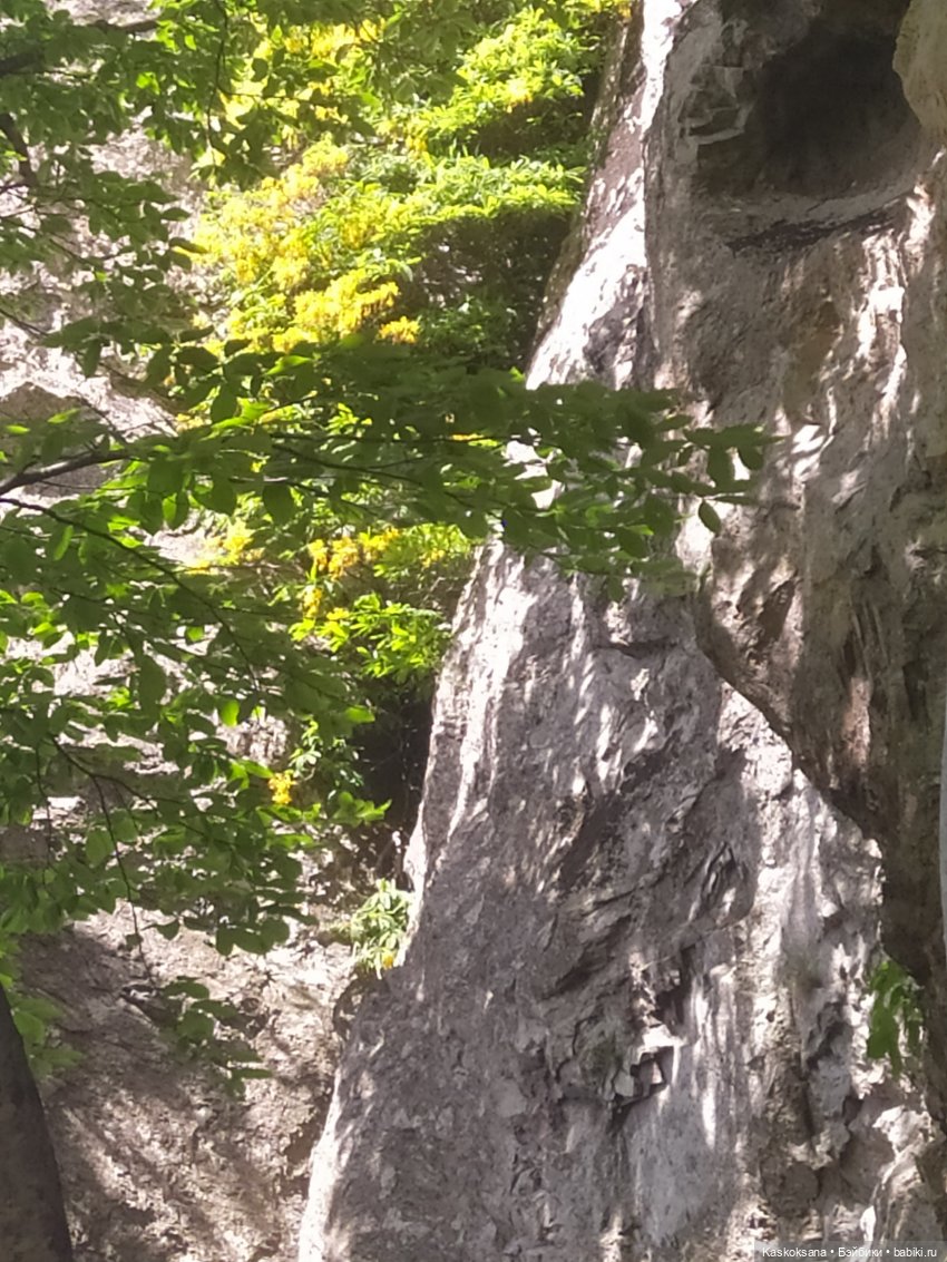 Дорога к Орлиным Скалам. Бештау