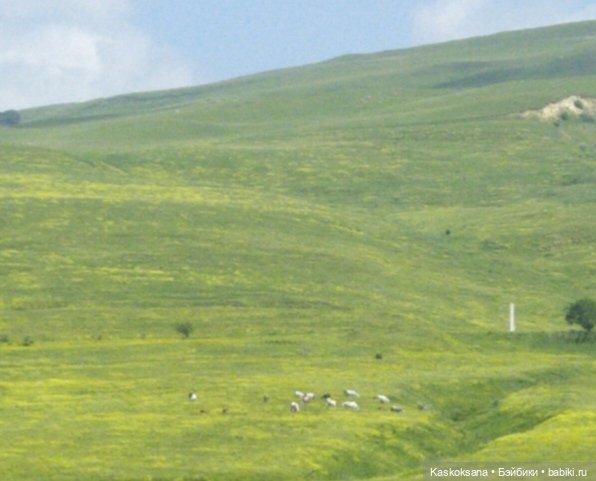 Дорога к Орлиным Скалам. Бештау (фото 7)