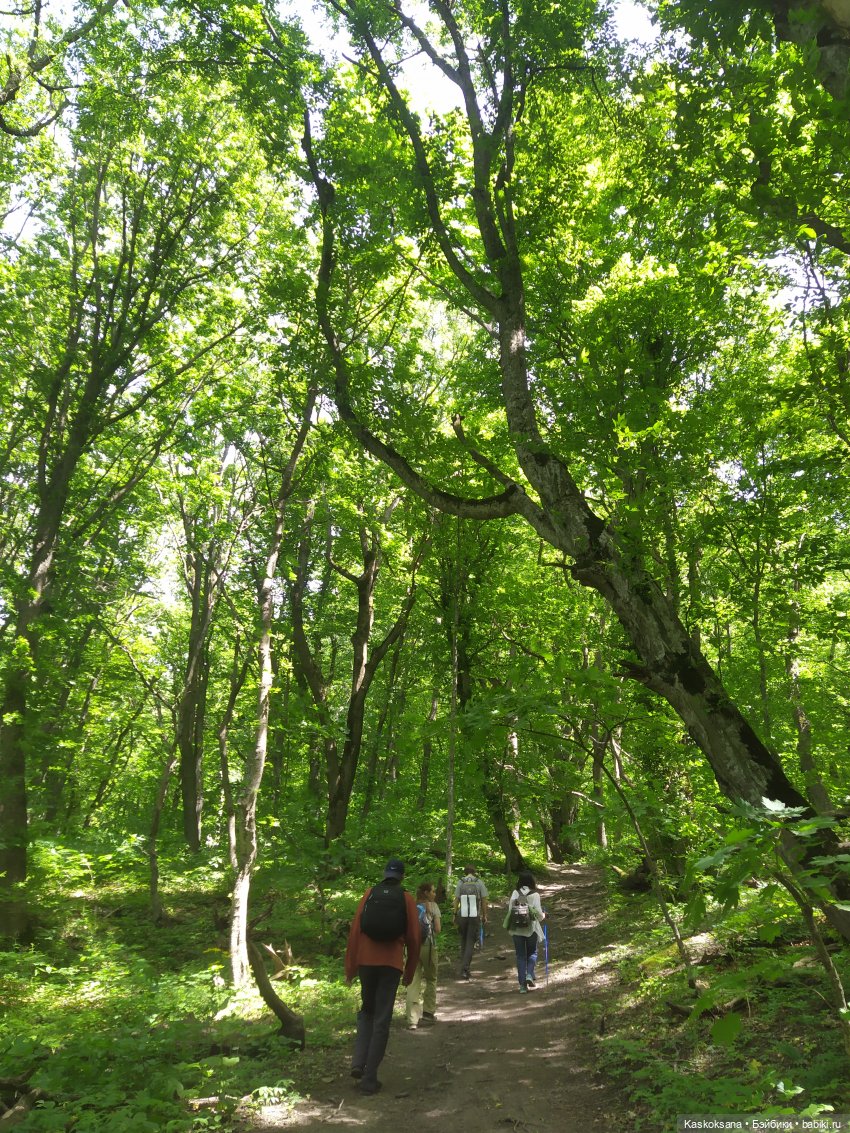 Дорога к Орлиным Скалам. Бештау