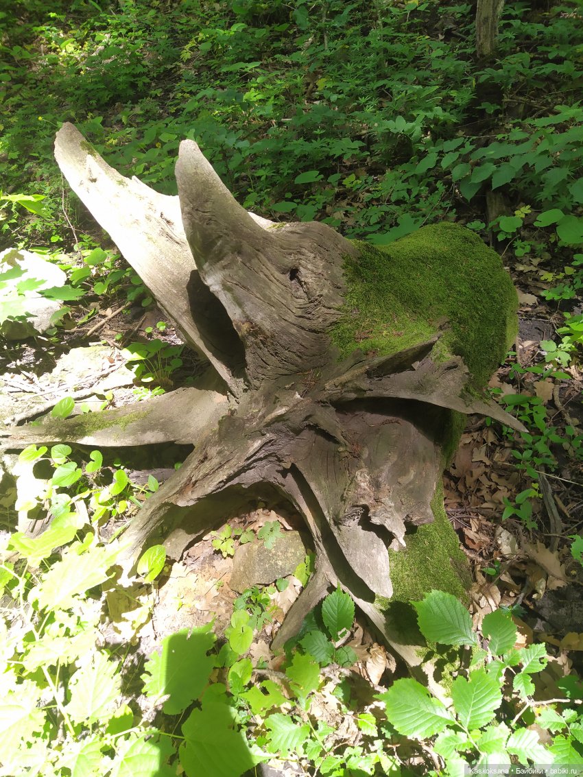 Дорога к Орлиным Скалам. Бештау