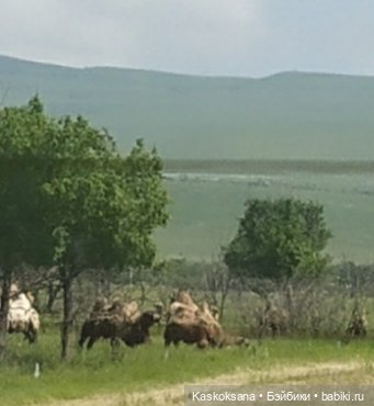 Дорога к Орлиным Скалам. Бештау (фото 10)