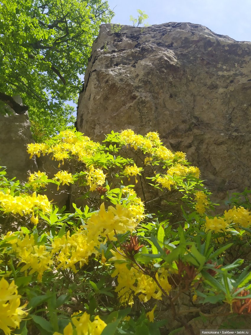 Дорога к Орлиным Скалам. Бештау