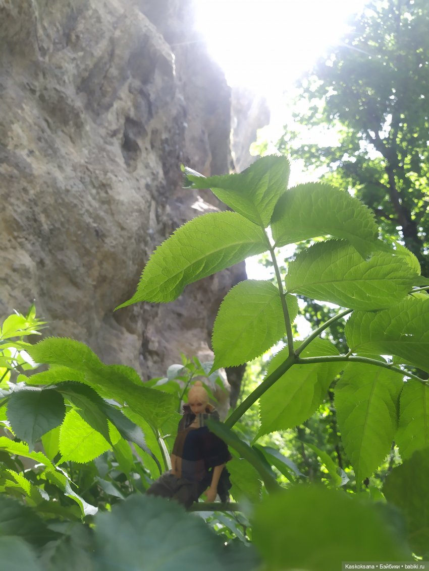 Дорога к Орлиным Скалам. Бештау