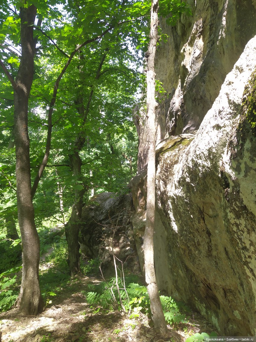 Дорога к Орлиным Скалам. Бештау