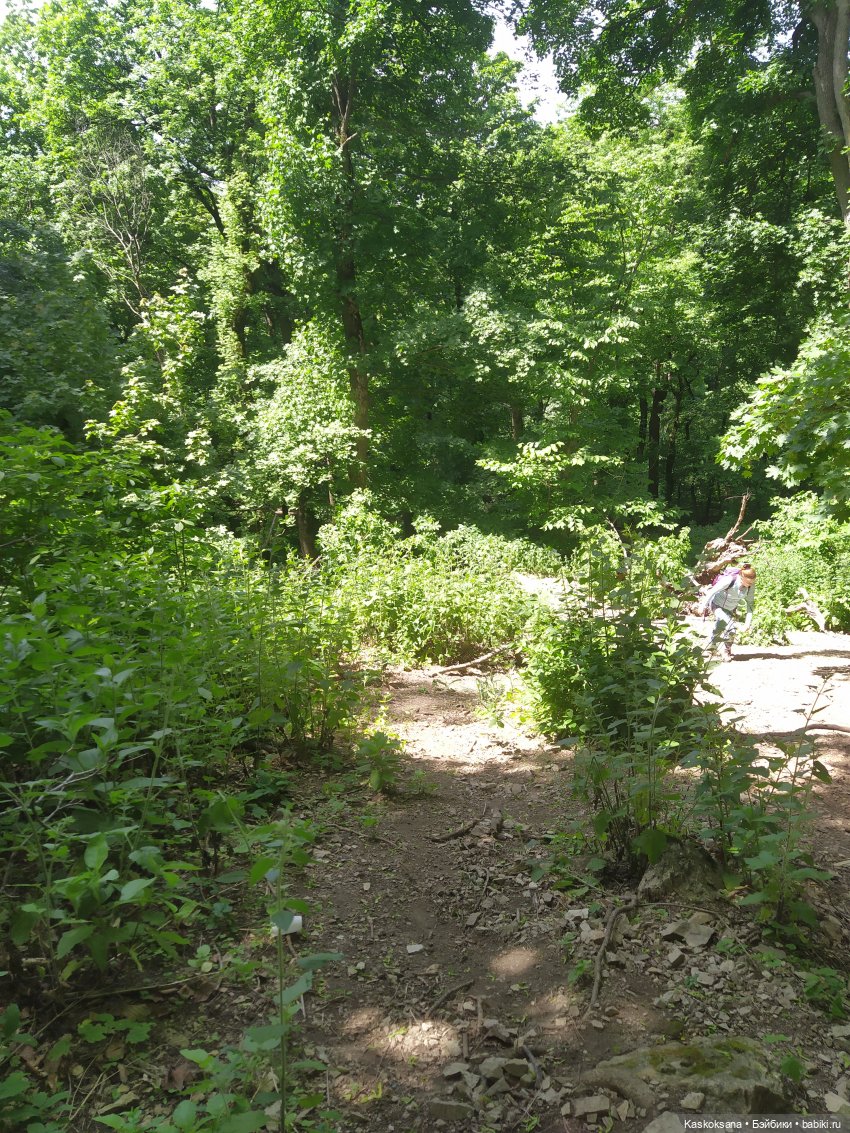 Дорога к Орлиным Скалам. Бештау