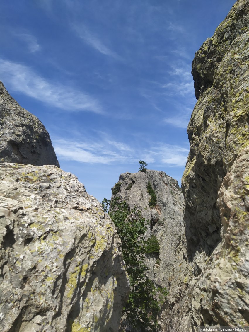 Орлиные скалы. Бештау — Туризм и путешествия: фотоотчеты из поездок (фото 2)