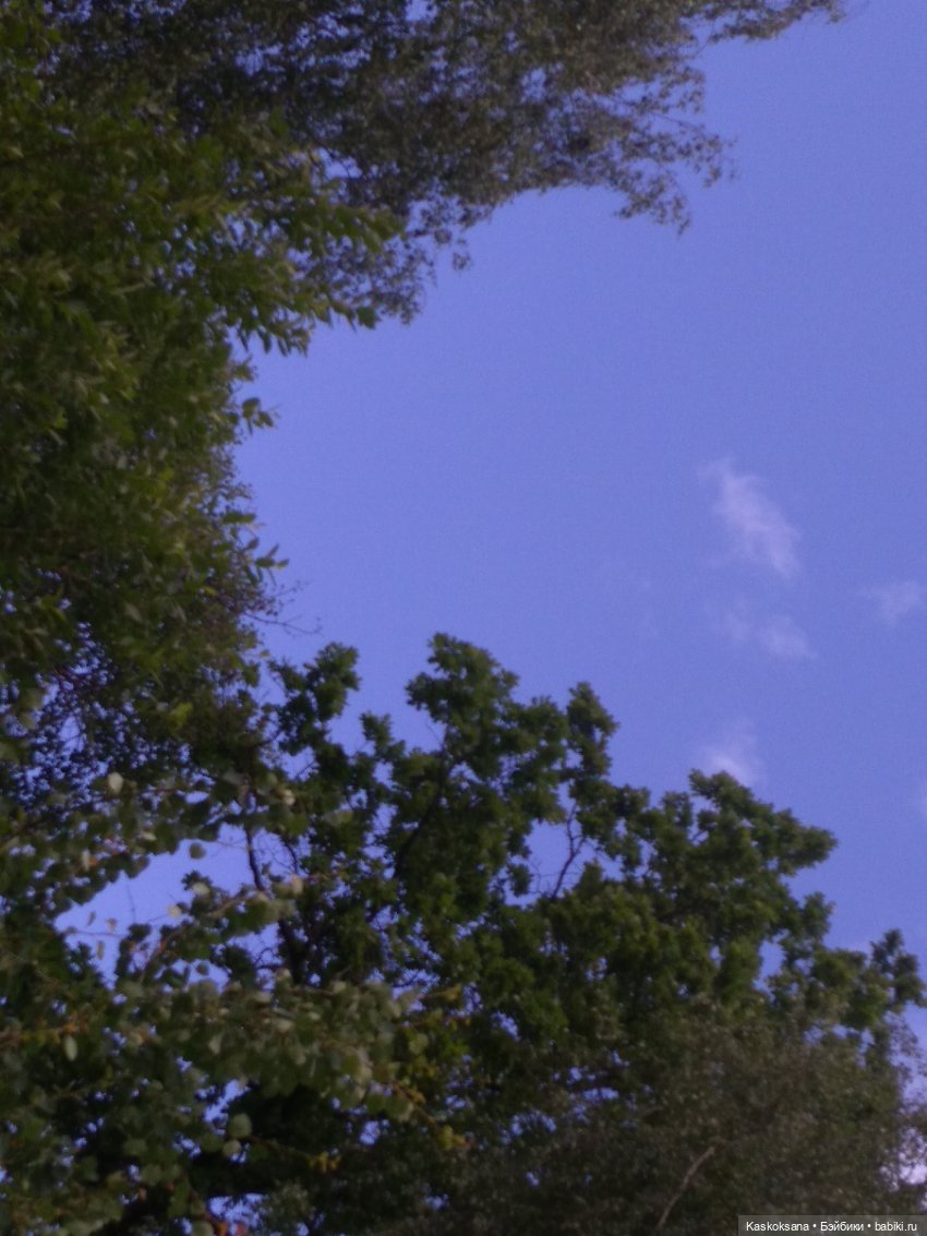 Лукоморье. Флешмоб волшебных