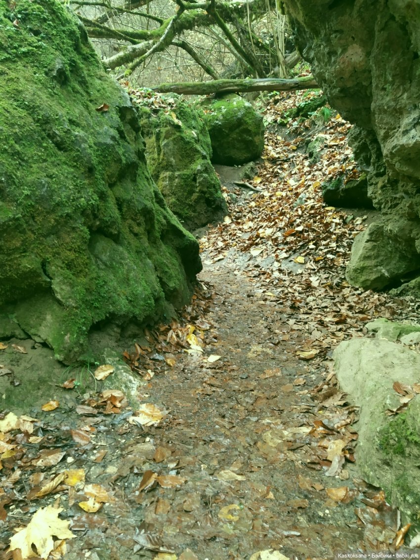 Лукоморье. Флешмоб волшебных