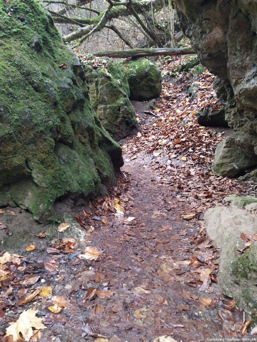 Лукоморье. Флешмоб волшебных