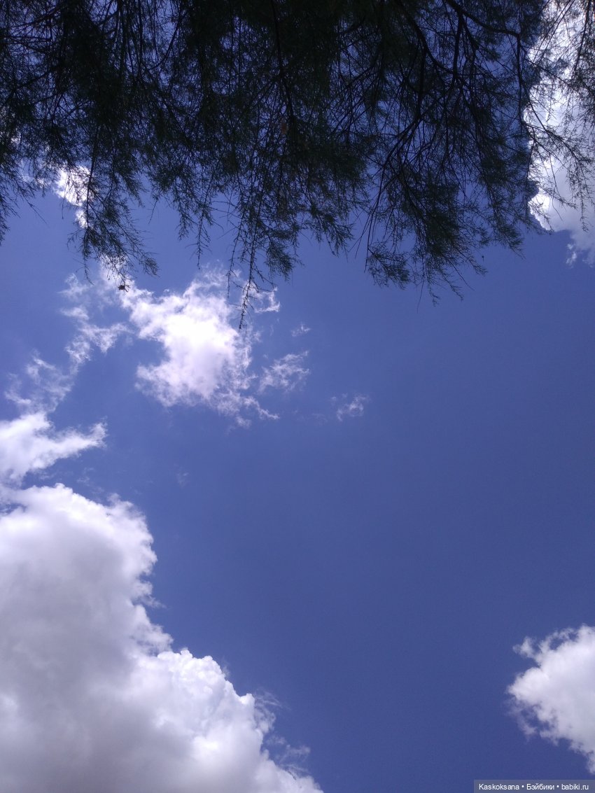 Лукоморье. Флешмоб волшебных