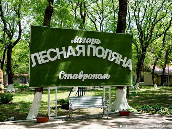 Лукоморье. Флешмоб волшебных (фото 3)