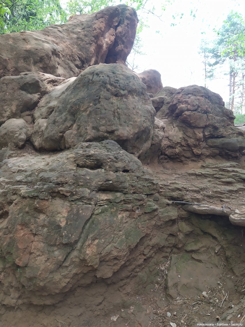 Лукоморье. Флешмоб волшебных