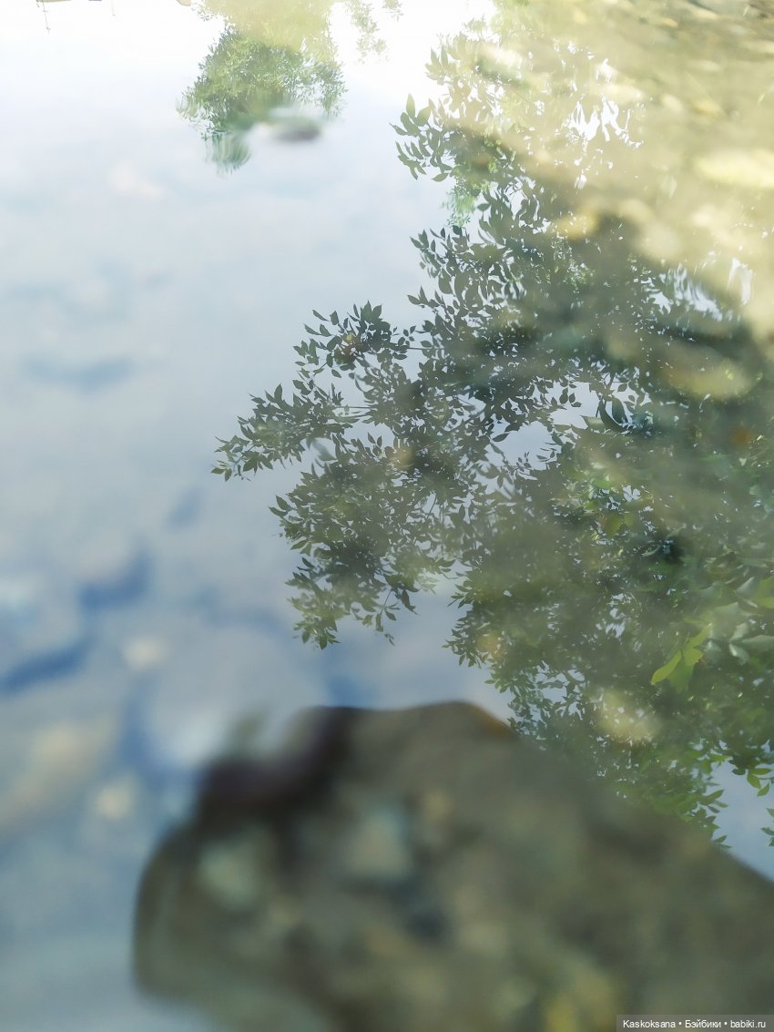 Лукоморье. Флешмоб волшебных