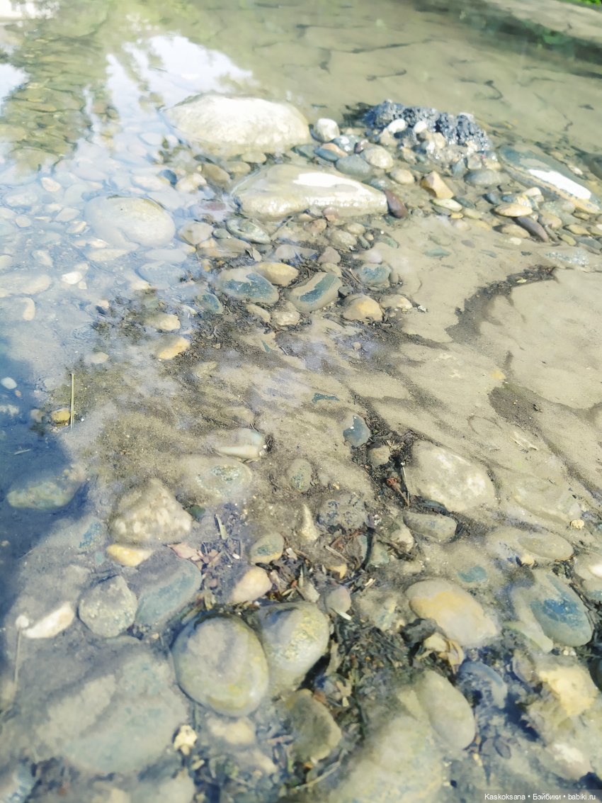 Лукоморье. Флешмоб волшебных