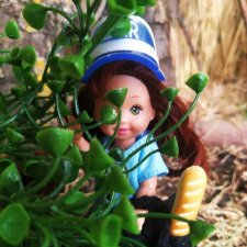 А мне любое море, море по колено, а мне любые горы по плечу