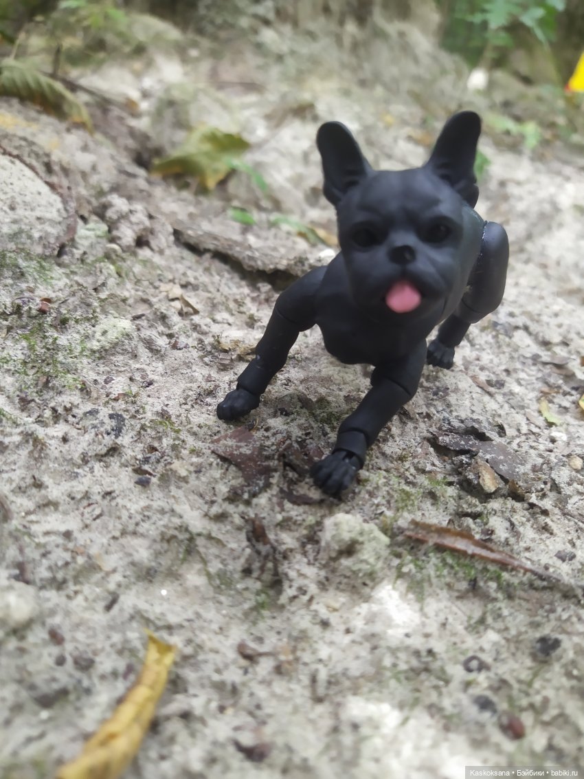 Милаш. Дорога к Лесному озеру | Бэйбики Милаш. Дорога к Лесному озеру (фото 5)