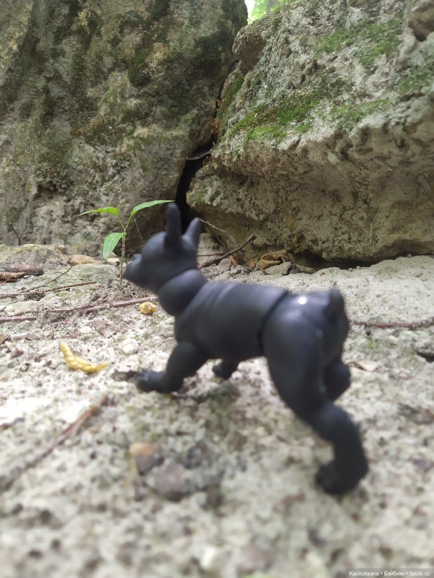 Милаш. Дорога к Лесному озеру | Бэйбики Милаш. Дорога к Лесному озеру (фото 2)