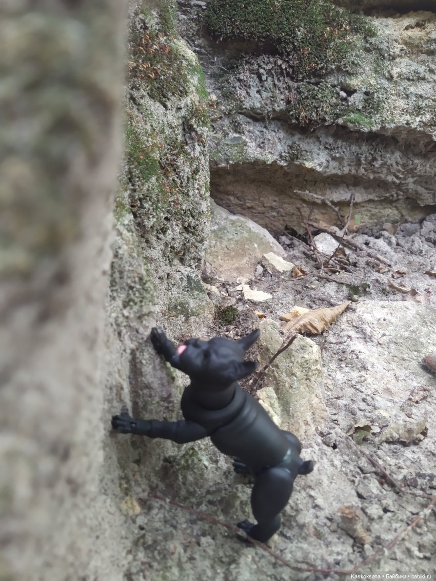 Милаш. Дорога к Лесному озеру | Бэйбики Милаш. Дорога к Лесному озеру (фото 8)