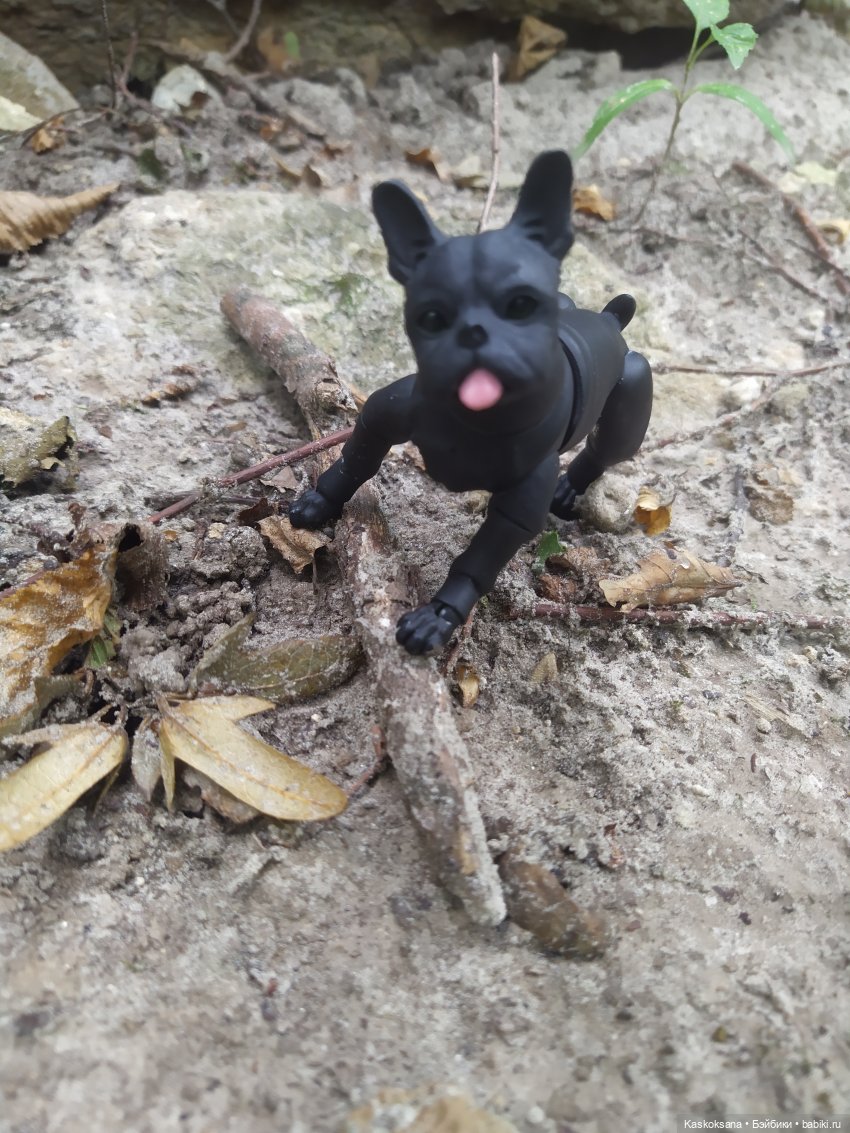 Милаш. Дорога к Лесному озеру | Бэйбики Милаш. Дорога к Лесному озеру (фото 6)