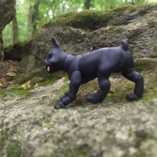 Милаш. Дорога к Лесному озеру