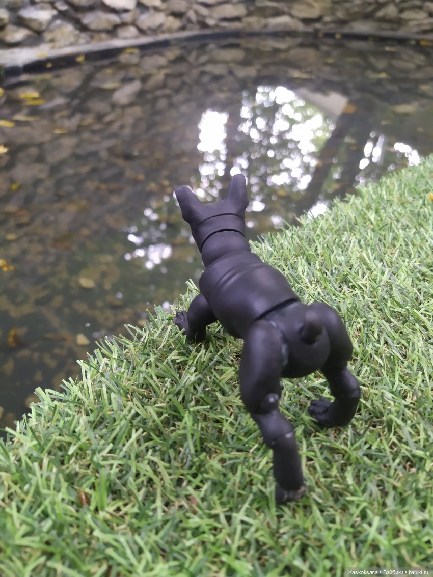 Лесное озеро — Разные шарнирные куклы (не БЖД): редкие (фото 2)