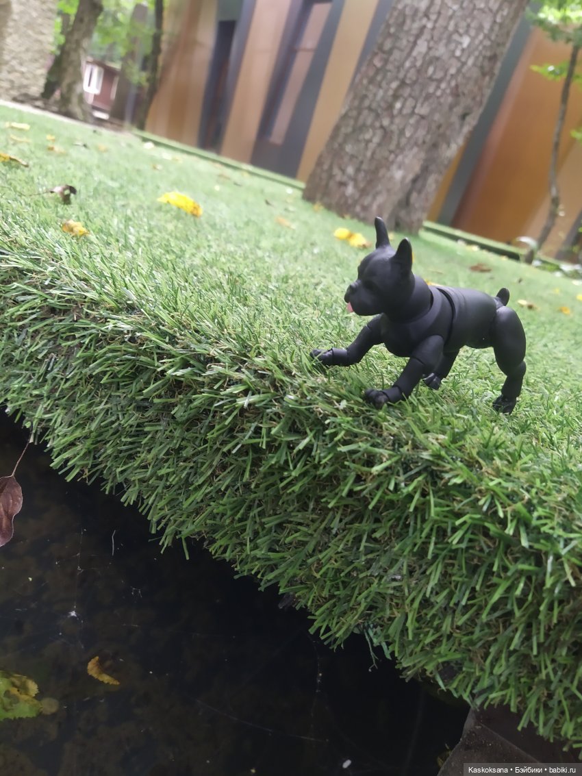 Лесное озеро — Разные шарнирные куклы (не БЖД): редкие (фото 4)