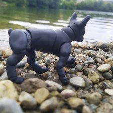 Лесное озеро