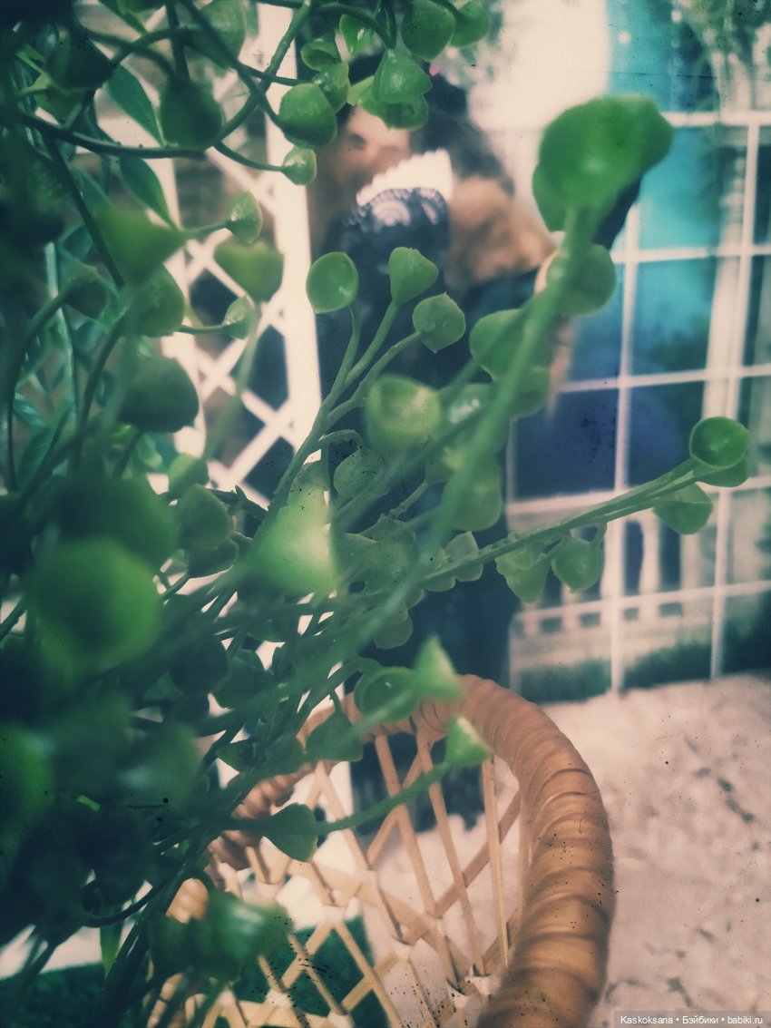 Августфест. Тетка Чарлея — АвгустФест: фестиваль кукольных театров и спектаклей