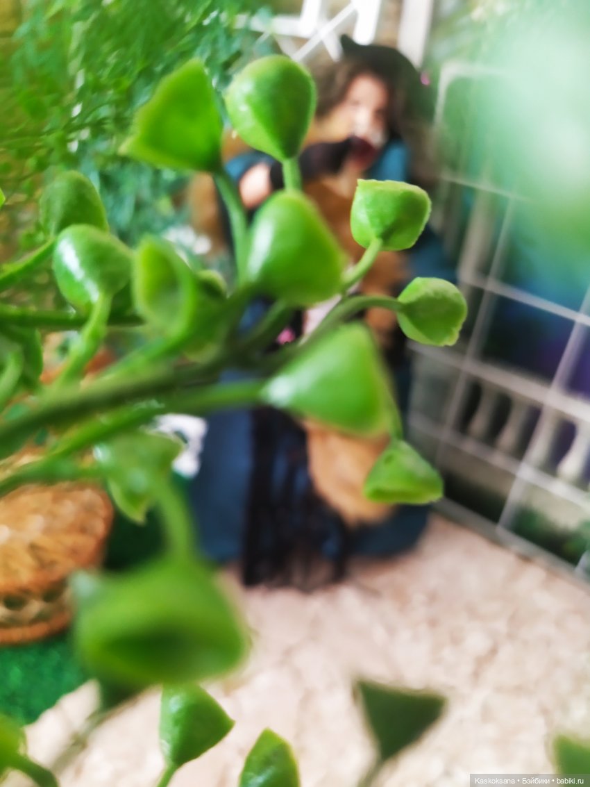 Августфест. Тетка Чарлея — АвгустФест: фестиваль кукольных театров и спектаклей