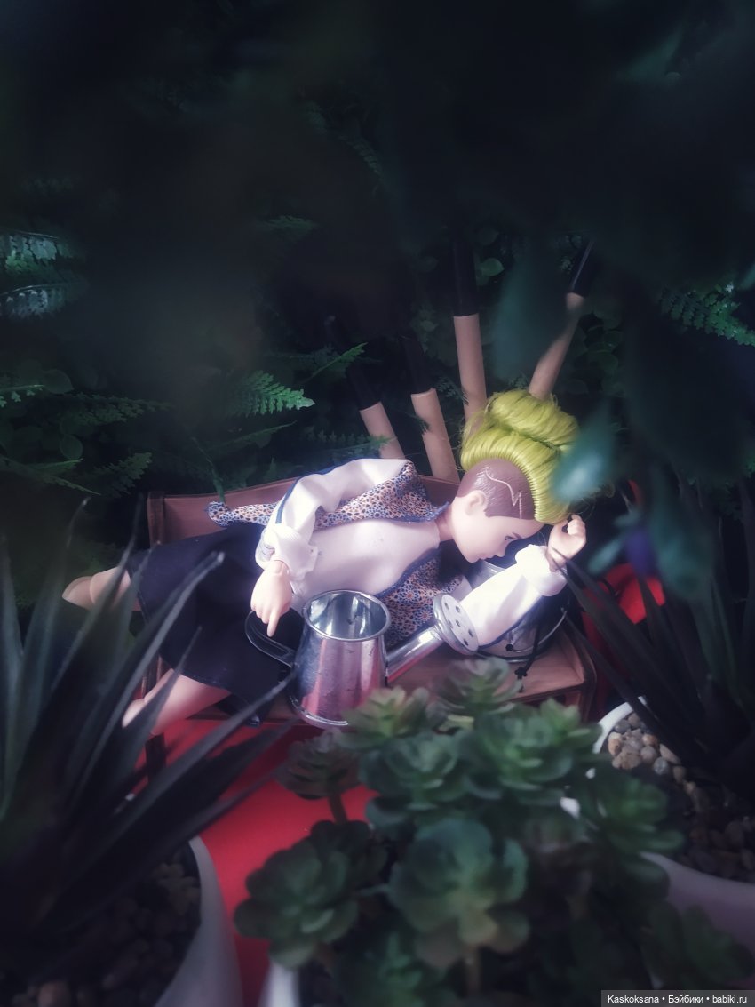 Сны Арины: Мандрагоровый | Бэйбики Сны Арины: Мандрагоровый — Мастер (фото 2)