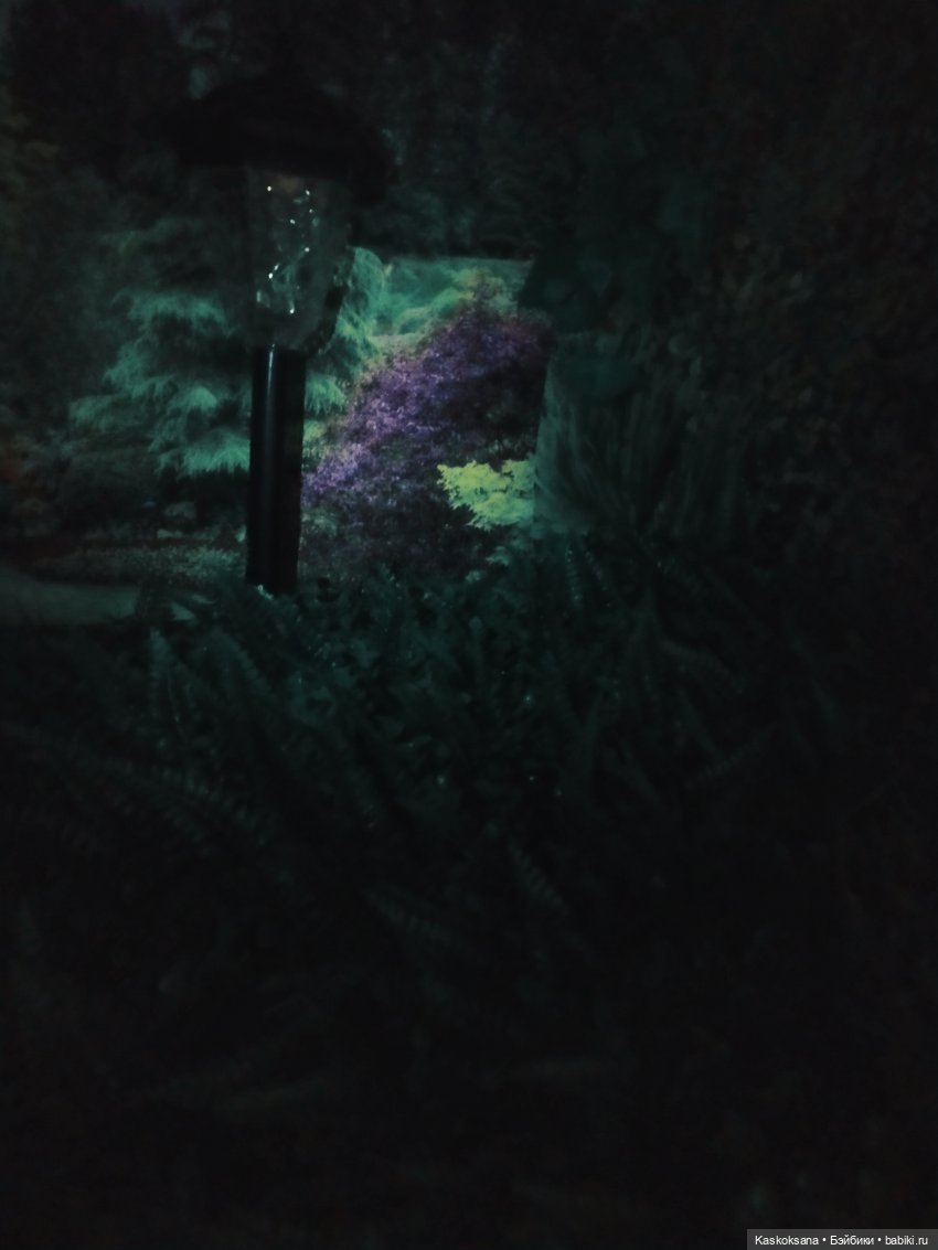 Случайные неслучайности. Эпизод 62 Предрассветное (фото 5)