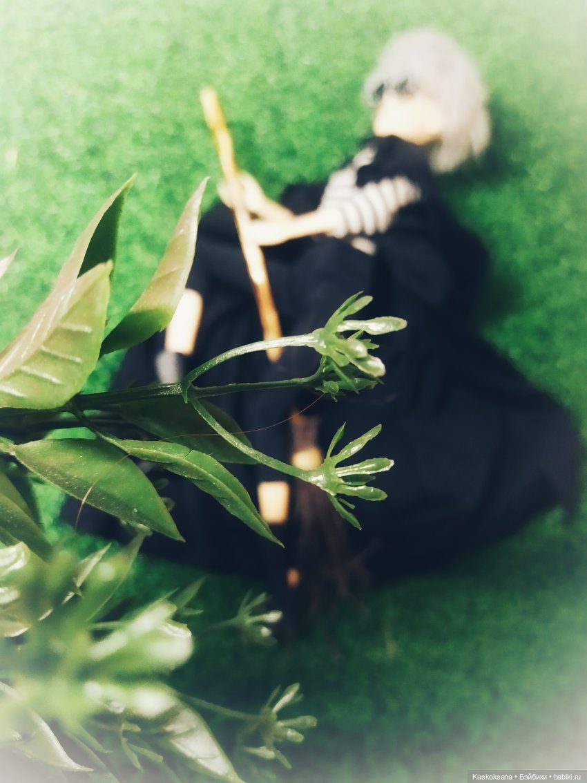 Квиддич: тренировка юных магов. Анонс