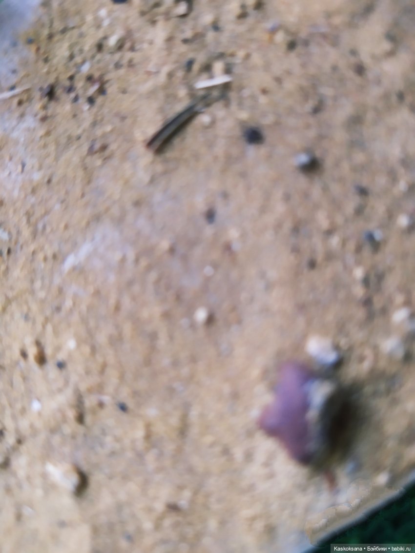 Случайные неслучайности. Эпизод 64 Треш и кринж