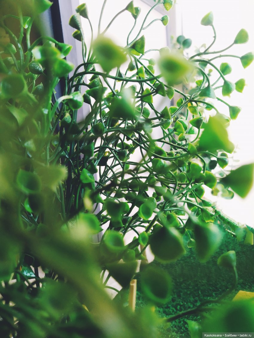 Случайные неслучайности. Эпизод 64 Треш и кринж