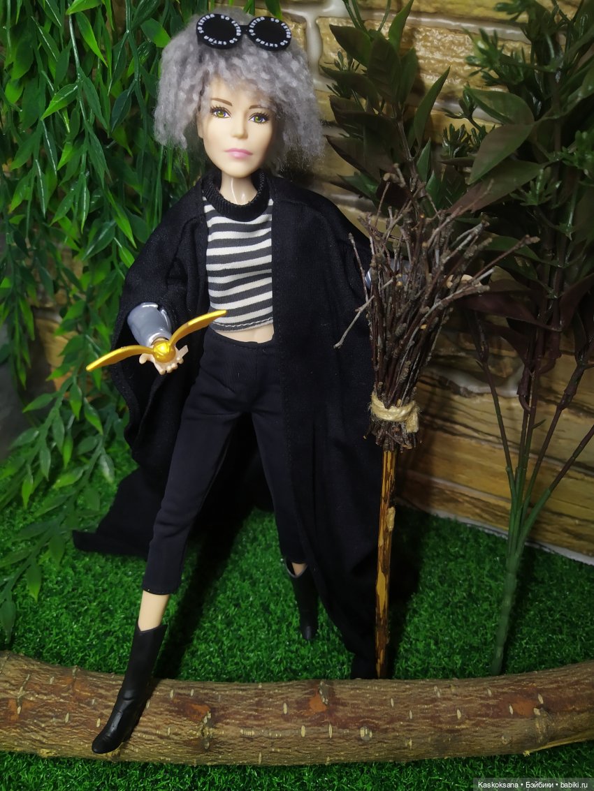 Квиддич. Сова для наставников