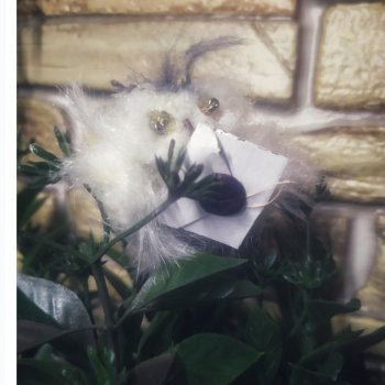 Квиддич. Сова для наставников