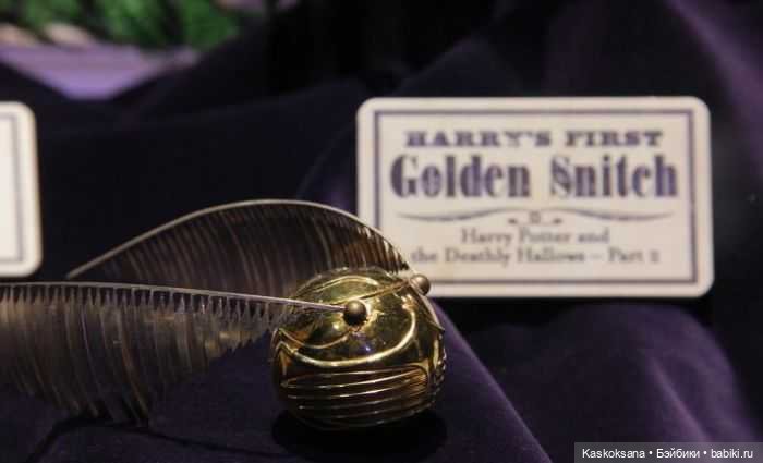 Квиддич. Магический интенсив (фото 5)